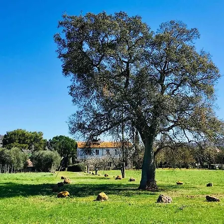 Villa Superb In Tuscany's Maremma *
