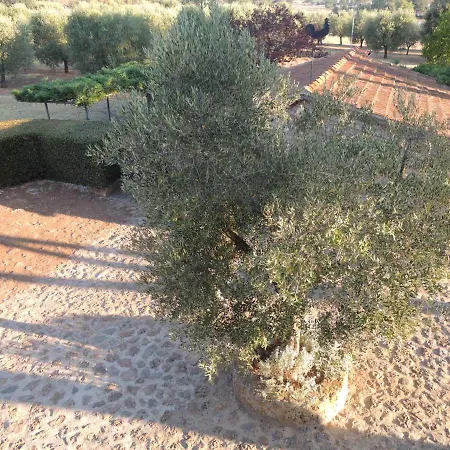 Superb In Tuscany's Maremma * Nunziatella