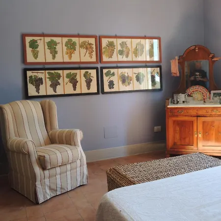Villa Superb In Tuscany's Maremma Nunziatella