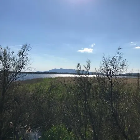 Superb In Tuscany's Maremma Nunziatella