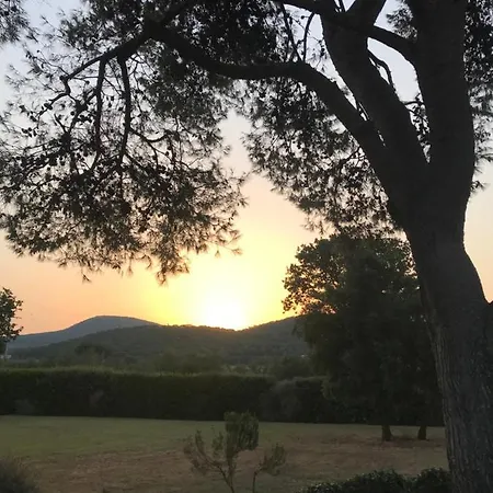 Superb In Tuscany's Maremma