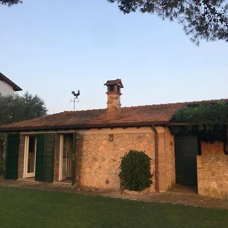Superb In Tuscany's Maremma *