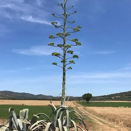 Superb In Tuscany's Maremma