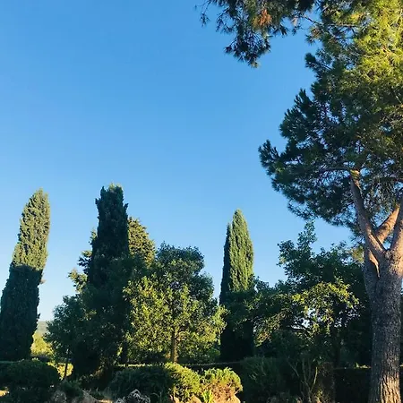 Superb In Tuscany's Maremma Nunziatella